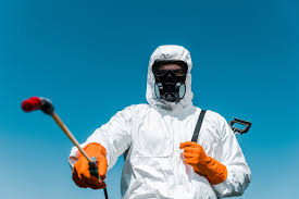 Best Organic or Eco-Friendly Pest Control  in Denison, TX